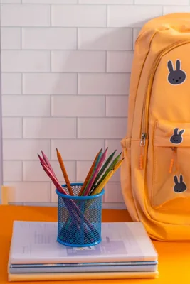 Mochila escolar infantil